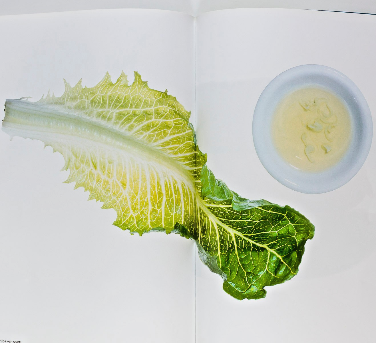 Elaine Constantine GEORGINA COOPER Gemma Kidd CITIZEN K magazine 2000 Beauty