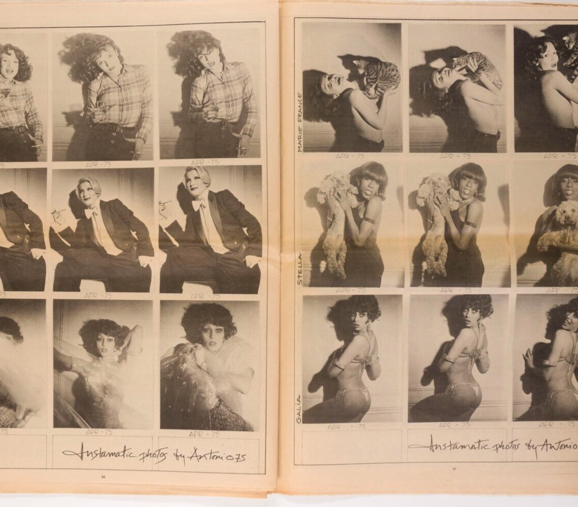 Brigitte Bardot ANTONIO LOPEZ Guy Bourdin INTERVIEW magazine April 1975 Hockney