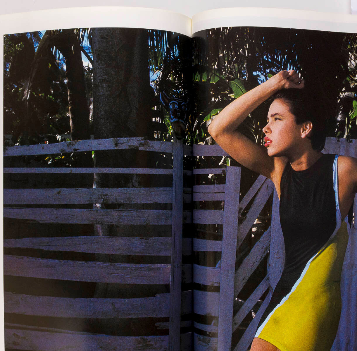 Renata Vackova GUY BOURDIN Sontag SIGOURNEY WEAVER Paris Vogue 1985 Picasso RTW