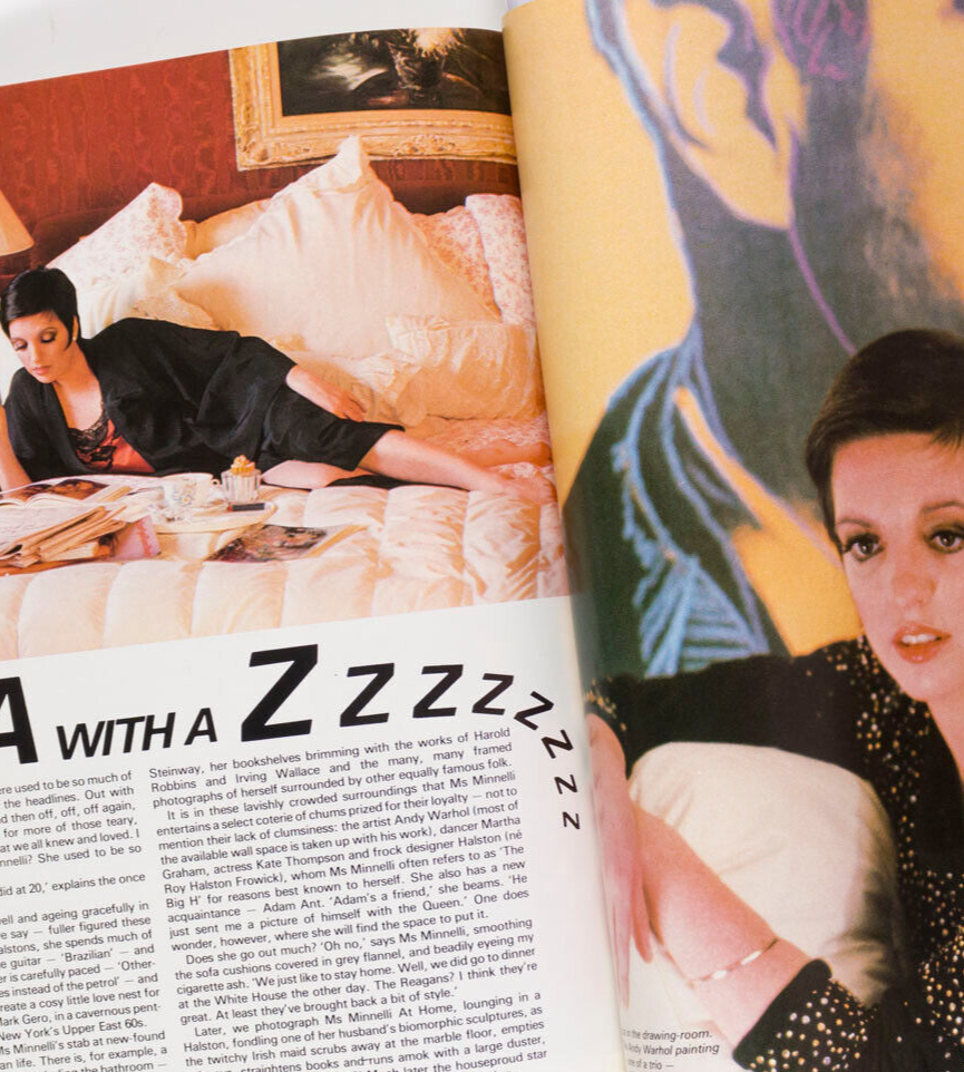 MISS PIGGY Liza Minnelli JANICE DICKINSON David Duchovny BOB MACKIE vtg TATLER