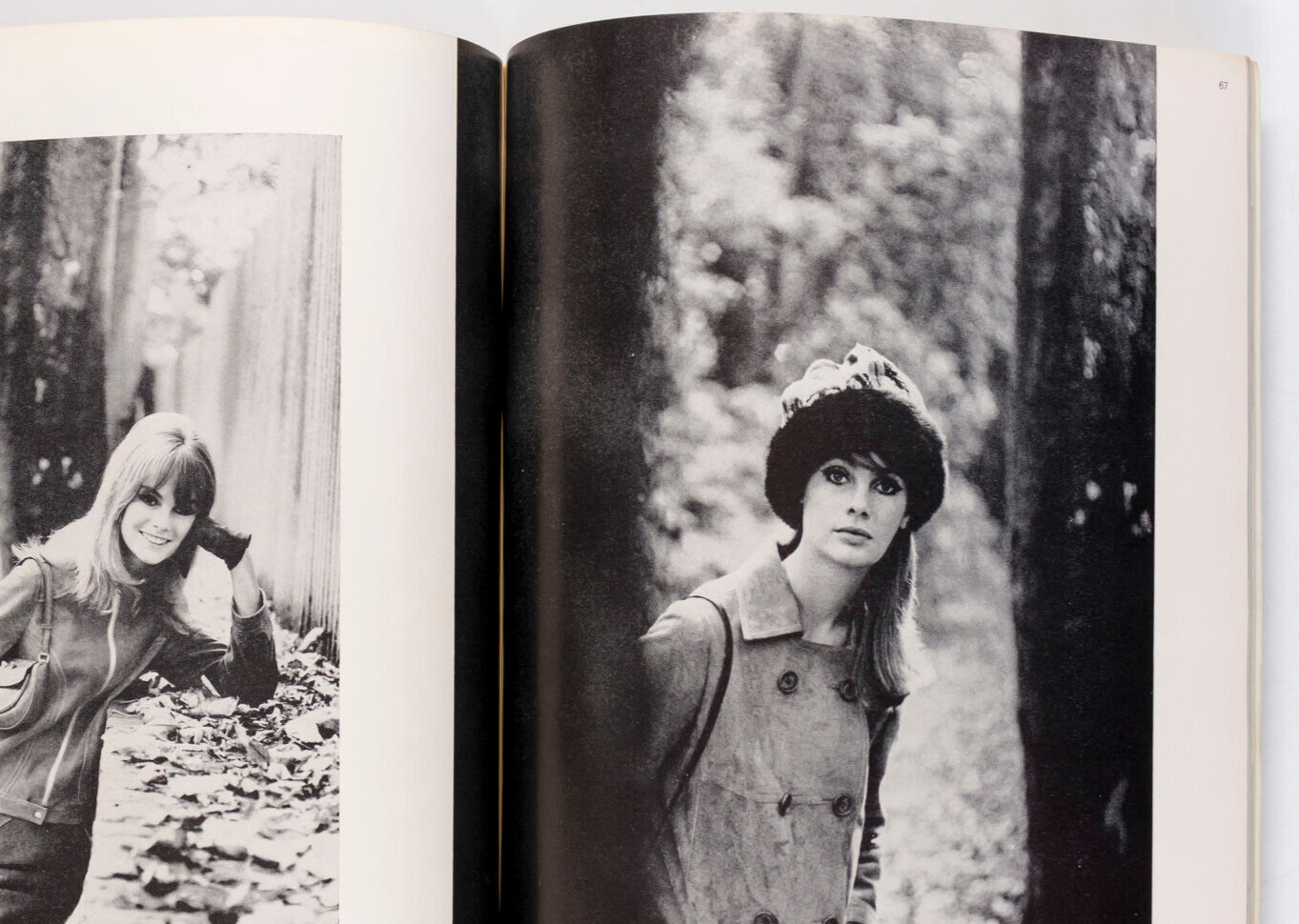 Sophia Loren JEAN SHRIMPTON Elizabeth Ercy ALAN BATES Avedon UK Harper's Bazaar