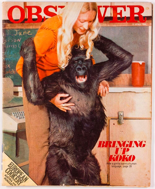 Francine Patterson KOKO Mary Poppins CHRISTIAN ROCK Observer magazine 1982 April