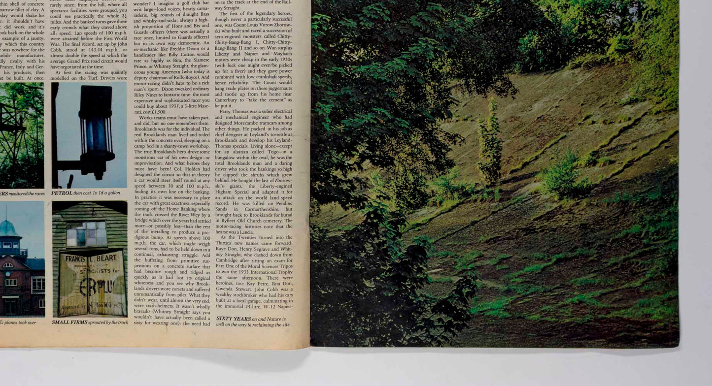DAVID HAMILTON James Baldwin CANNABIS Brooklands TELEGRAPH MAGAZINE UK