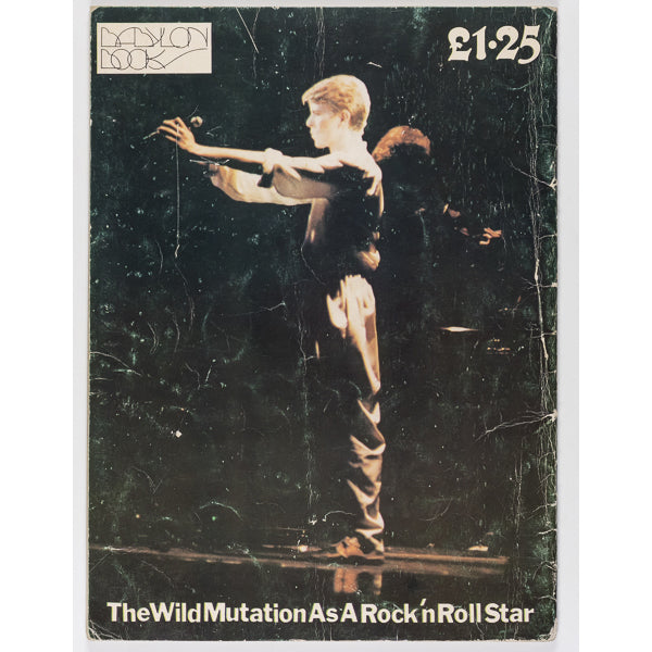 DAVID BOWIE Lives & Times BOOK Bootleg Zine MICK ROCK magazine GLAM UK
