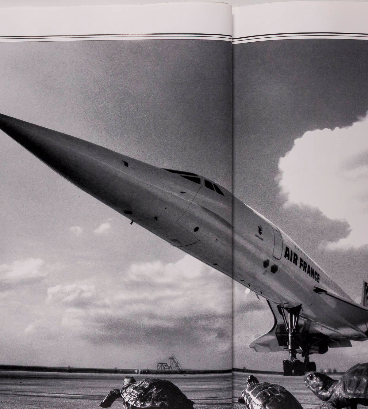 RICHARD AVEDON Stephanie Seymour Helena Christensen EGOISTE # 12