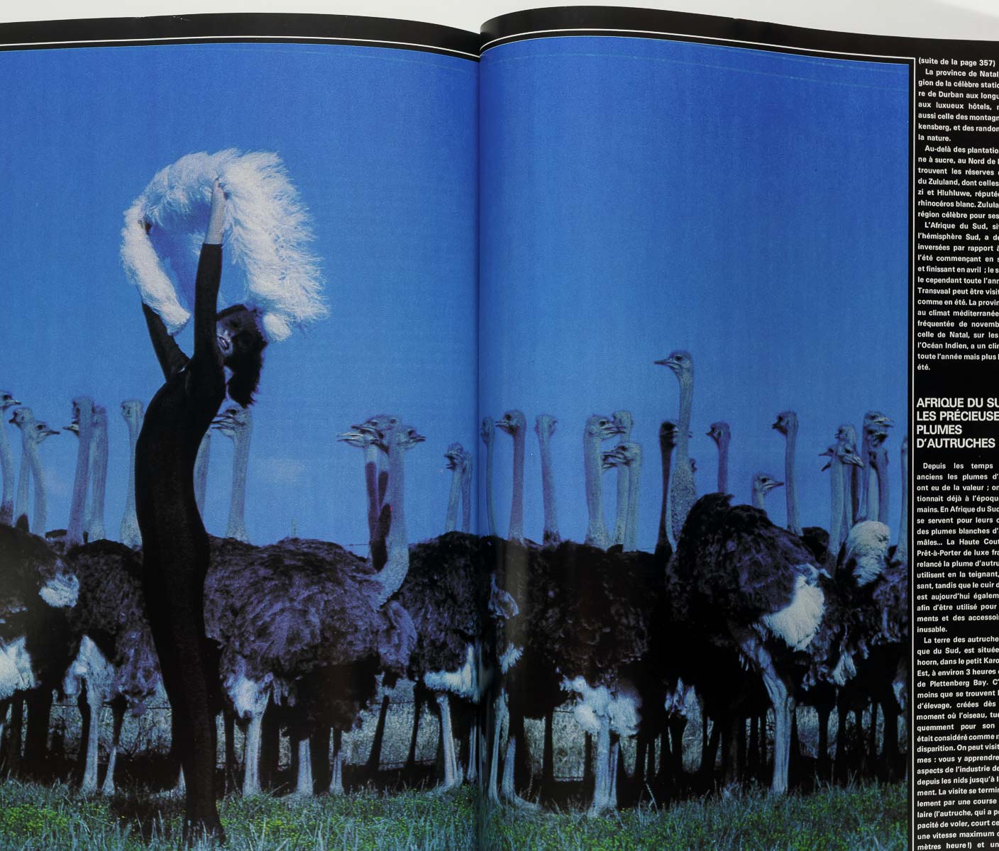 JOAN MIRO guest edited Helmut Newton KELLY EMBERG PARIS VOGUE 1979