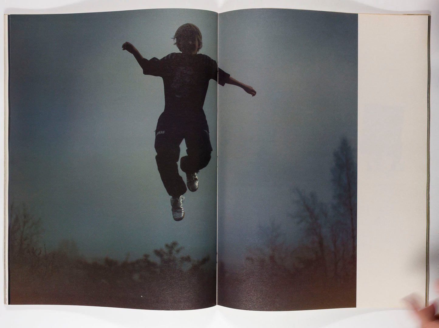 Richard Prince HELMUT BERGER Jean Shrimpton RYAN McGINLEY  Acne Paper magazine 2