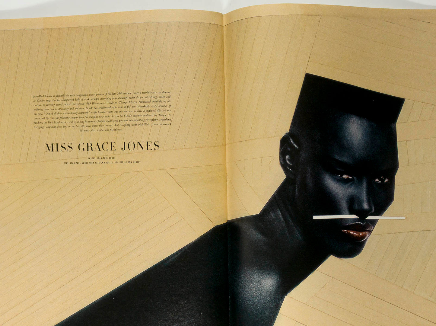 Richard Prince HELMUT BERGER Jean Shrimpton RYAN McGINLEY  Acne Paper magazine 2