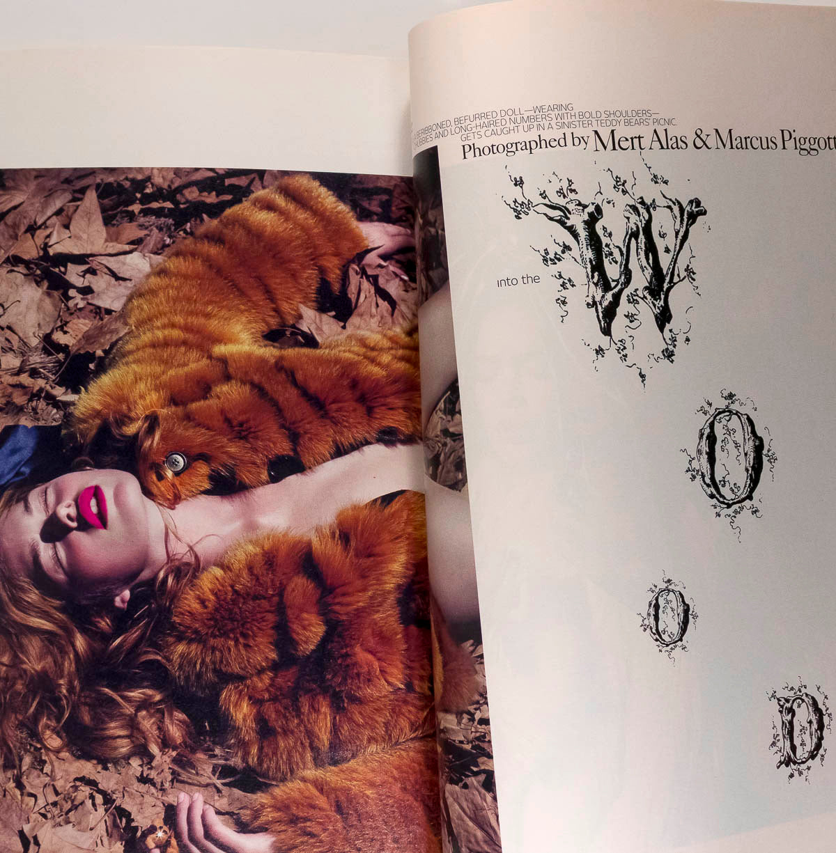 Victoria and David Beckham Steven Klein Doutzen Kroes W Magazine August 2007