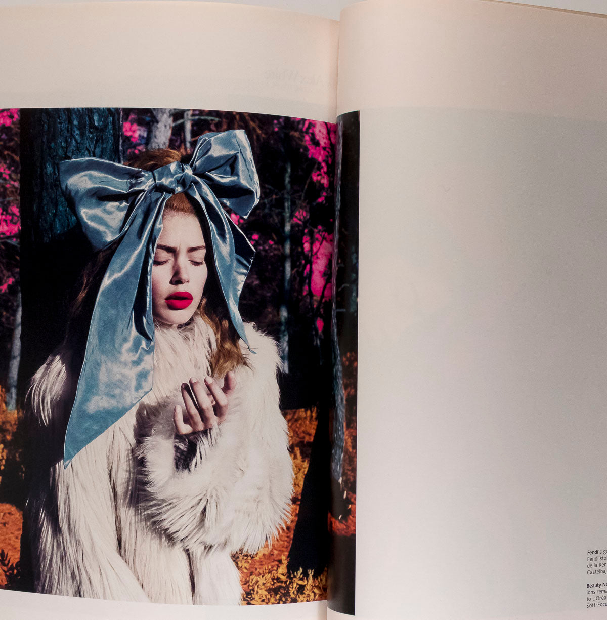 Victoria and David Beckham Steven Klein Doutzen Kroes W Magazine August 2007