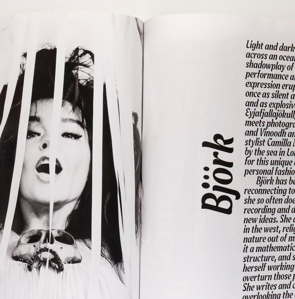 BJORK Kenneth Anger HELMUT LANG Peter Doig AnOther Magazine AW 2010