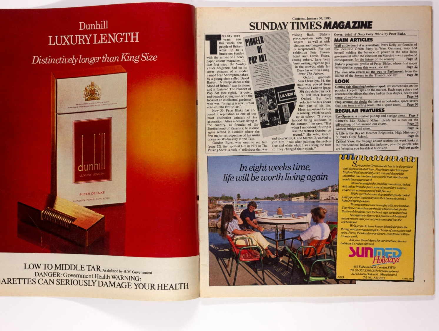PETER BLAKE Petra Kelly SAM LLEWELLYN Sunday Times magazine January 1983 SOFABED