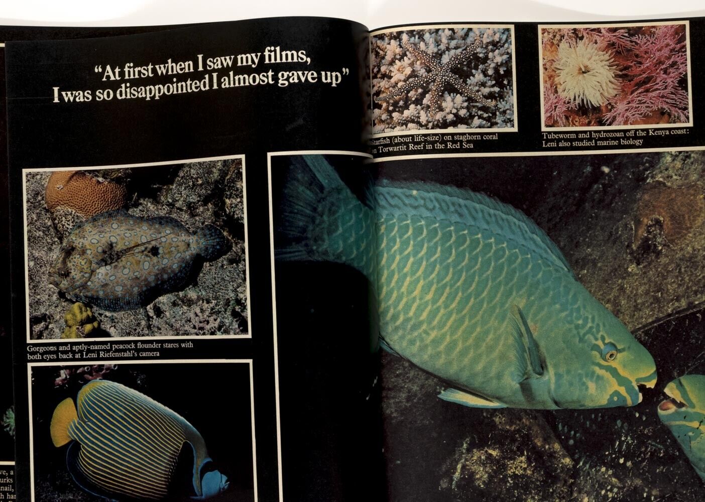 LENI RIEFENSTAHL Anne Ziegler Webster Boothe UNDERWATER PHOTOGRAPHY Sunday Times