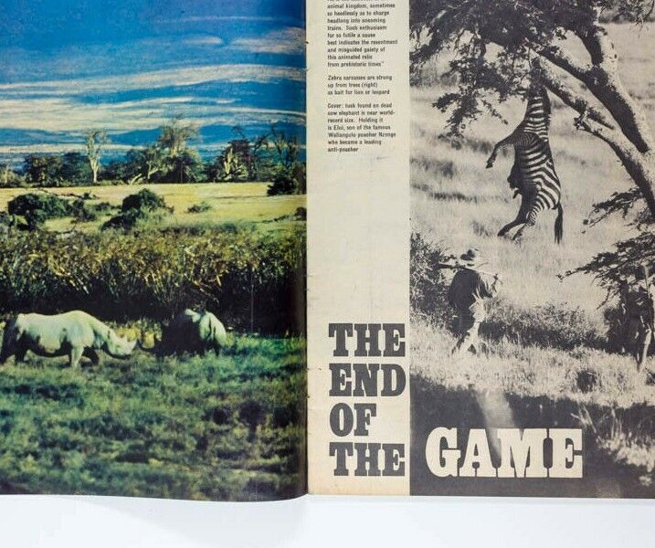 PETER BEARD End Of The Game CELIA HAMMOND Otto Lucas ~ SUNDAY TIMES magazine VTG