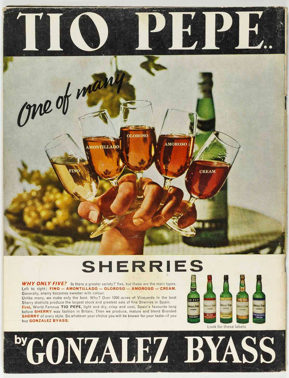 VIVIANE VENTURA Robin Douglas Home DONYALE LUNA Sarah Miles LONDON LIFE magazine