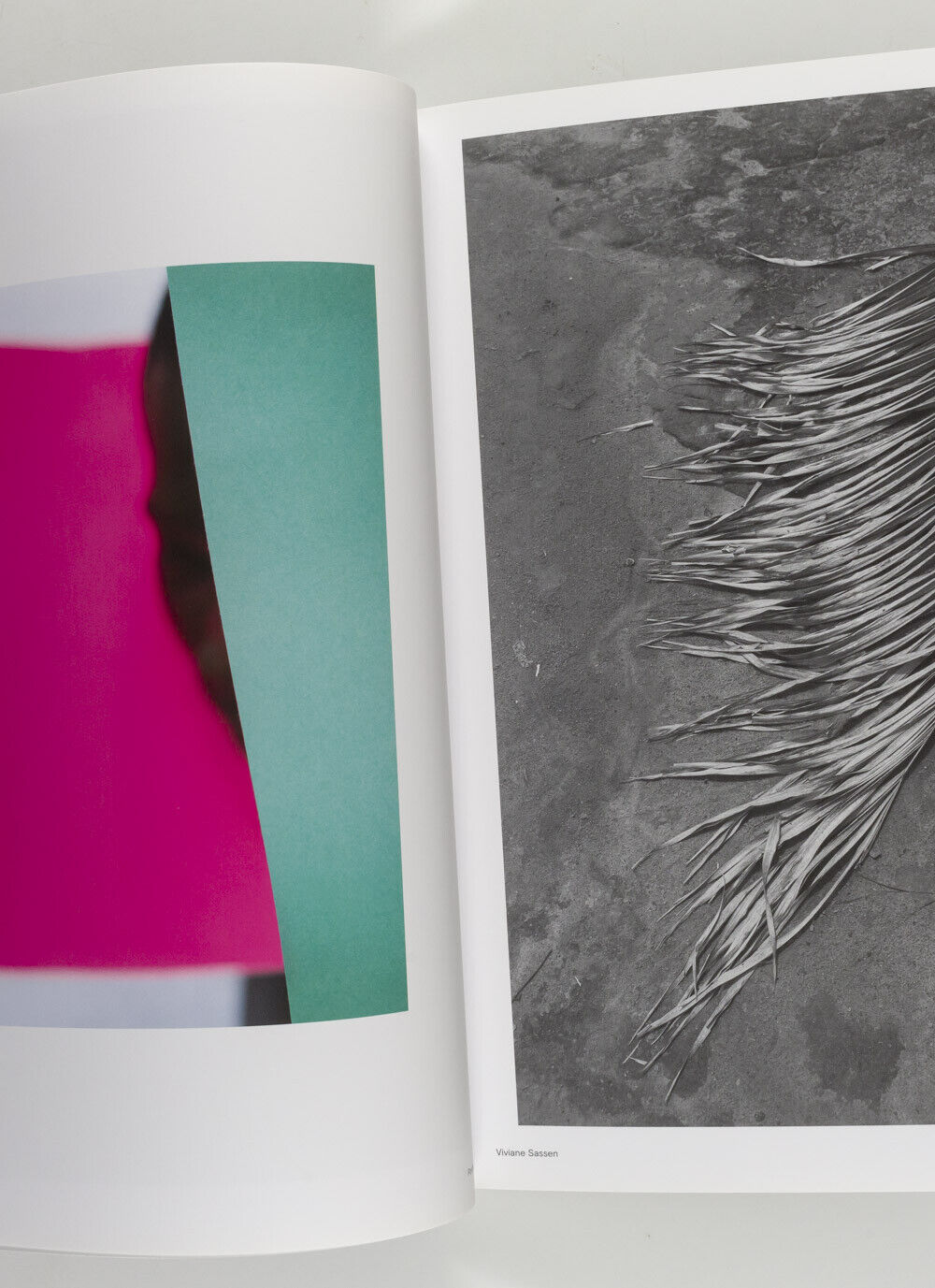 VIVIANE SASSEN Stephen Gill PETER WATKINS Mayumi Hosokura HOTSHOE photo magazine