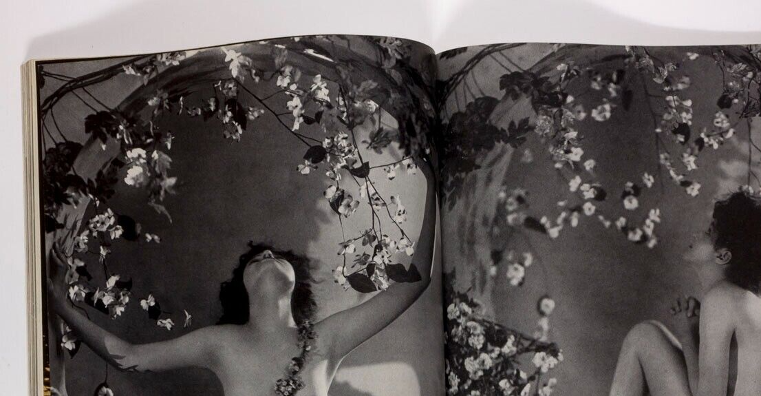 TWIGGY Norman Parkinson BIANCA JAGGER  Vogue December 1974  Christopher Lee ERTE