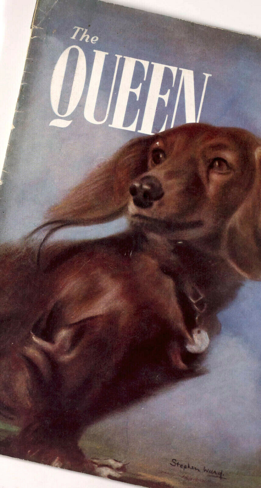 STEPHEN WARD dachshund MAUREEN SWANSON Sherlock Holmes UK QUEEN magazine PROFUMO