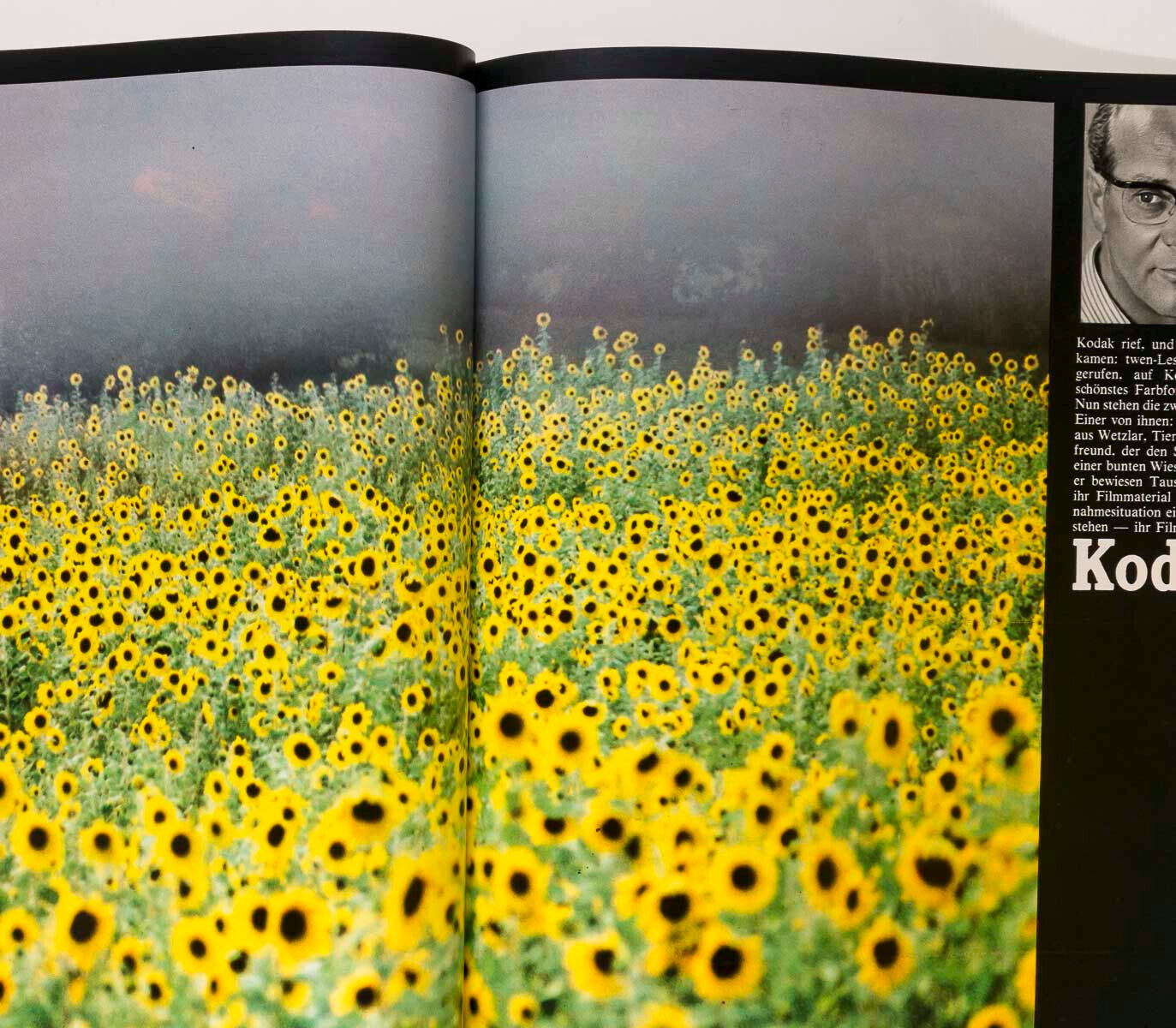 Uschi Obermaier VERUSCHKA Twiggy WILLY FLECKHAUS Art Kane  TWEN fashion magazine