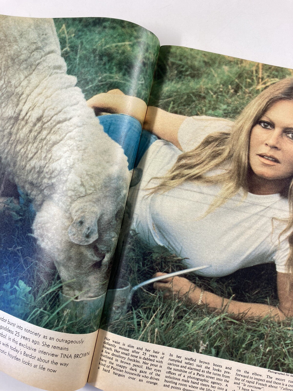 BRIGITTE BARDOT 25 years TINA BROWN  SUNDAY TELEGRAPH MAGAZINE September 1977 54