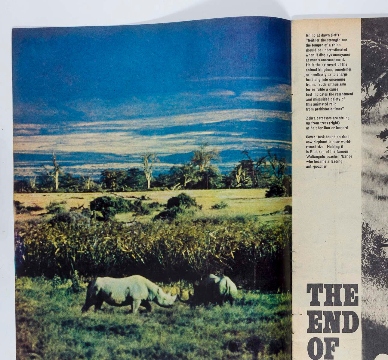 PETER BEARD End Of The Game CELIA HAMMOND Otto Lucas ~ SUNDAY TIMES magazine VTG