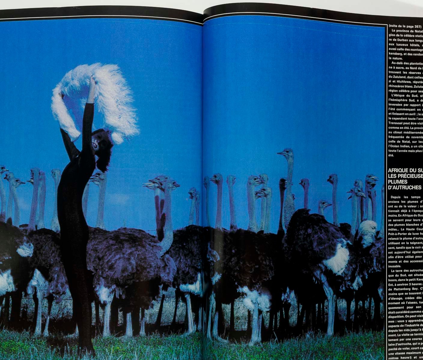 Miro HELMUT NEWTON Horst GRUAU Janice Dickinson PARIS VOGUE December 1979 No 602
