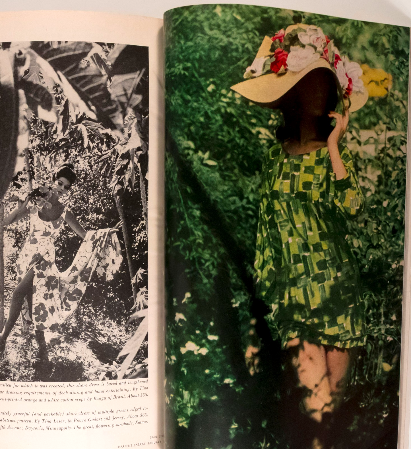 Nena von Schlebrugge AVEDON Lily Chair SAUL LEITER Harper's Bazaar January 1960