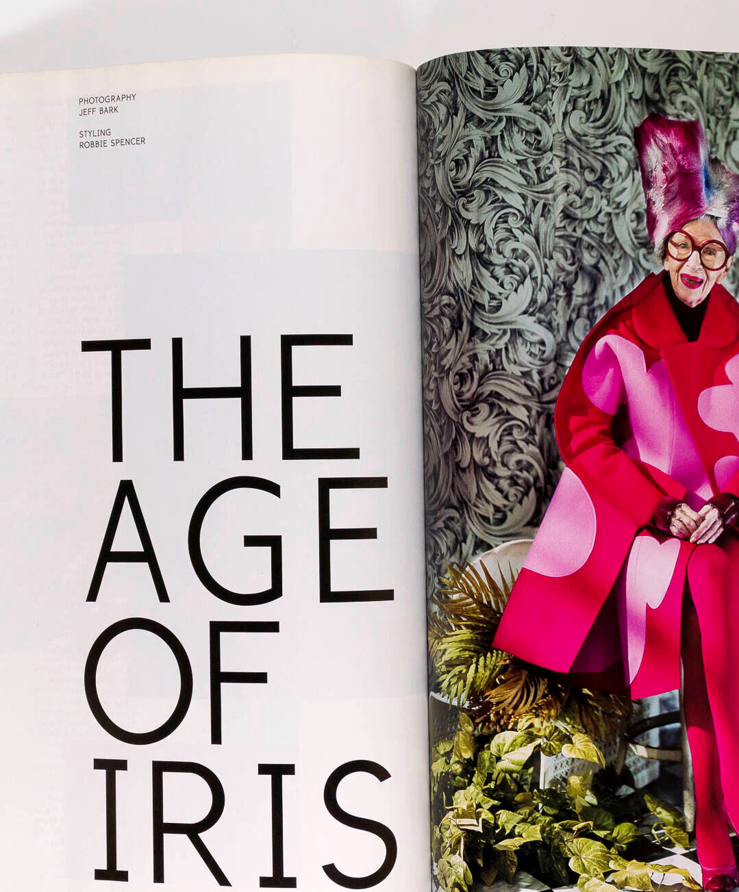 Iris Apfel LINDER STERLING Sophie Calle ISSUE DAZED & CONFUSED Nov 2012 Beck ART