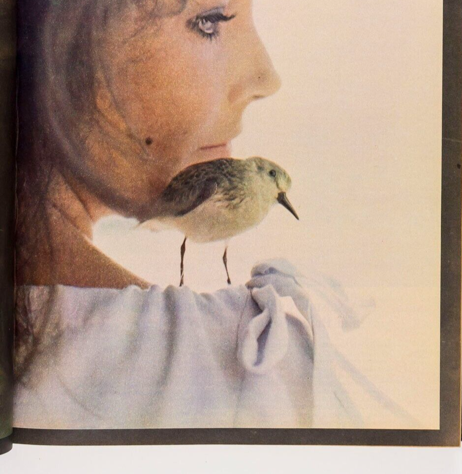 Elizabeth Taylor SUNDAY TIMES magazine 1965 January RICHARD AVEDON photos JAZZ