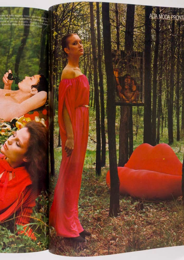 MOYRA SWAN Bill Cunningham ROLLING STONES Vogue Italia July 1976 Parkinson JCDC