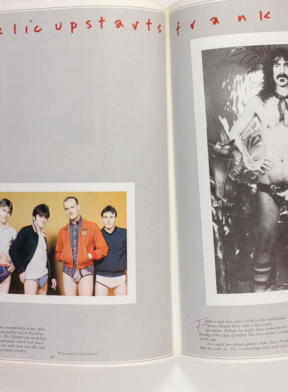 ROCK STARS IN THEIR UNDERPANTS Paula Yates AMANDA LEAR Bowie BEBE BUELL Zappa UK
