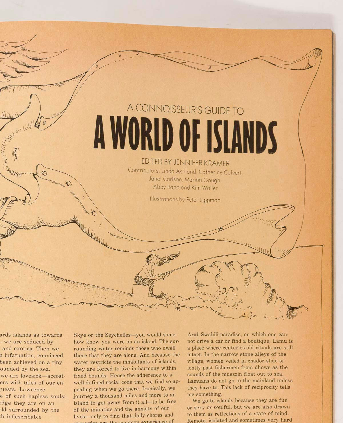 Swimwear TERRY FERRARIS St Barts BAHIA Town & Country magazine January 1983 Spa