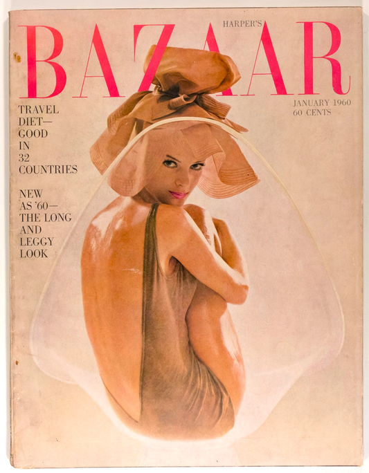 Nena von Schlebrugge AVEDON Lily Chair SAUL LEITER Harper's Bazaar January 1960