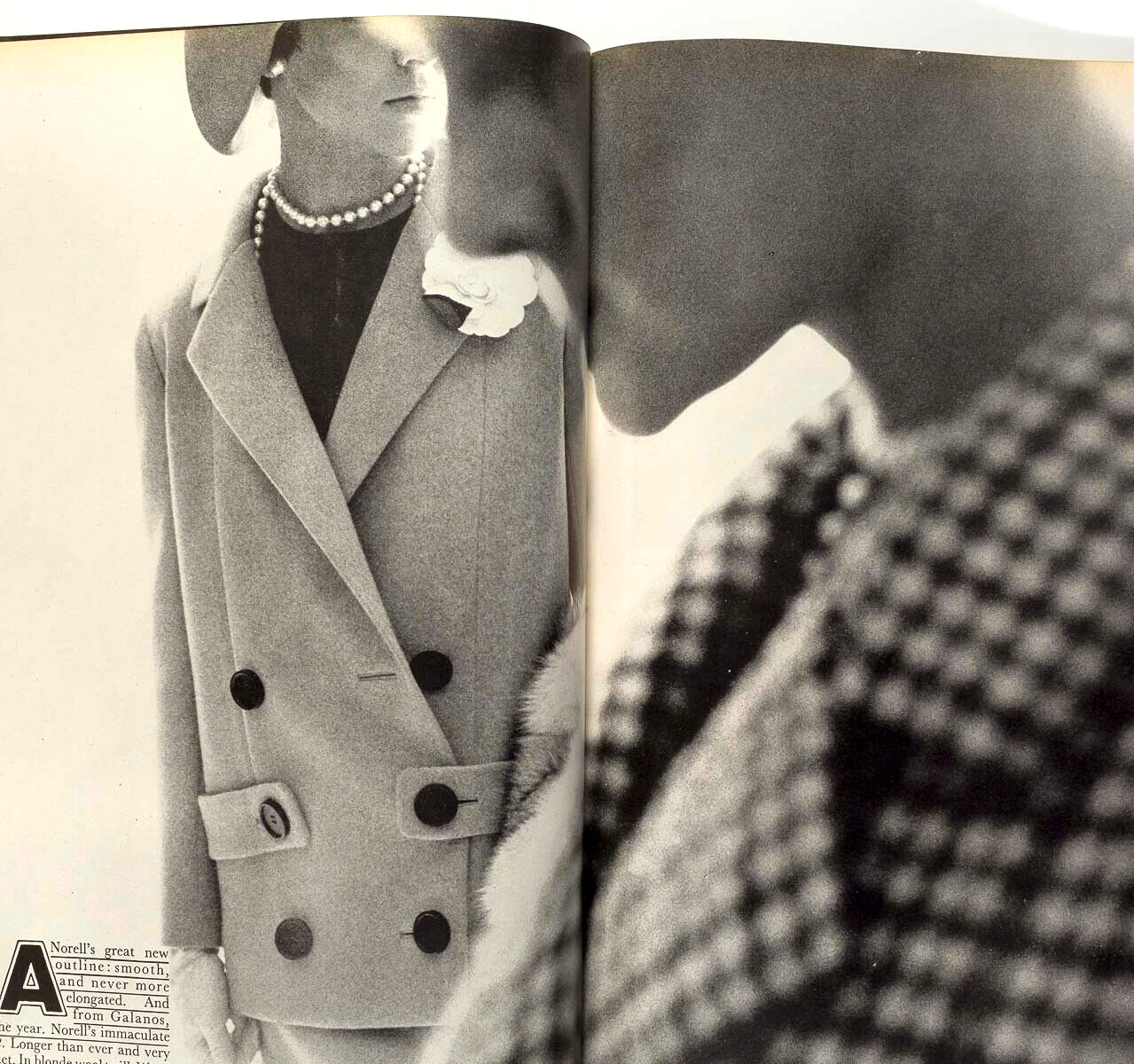 Marika Green NORMAN PARKINSON Veruschka HELMUT NEWTON Vogue September 1965 Klimt