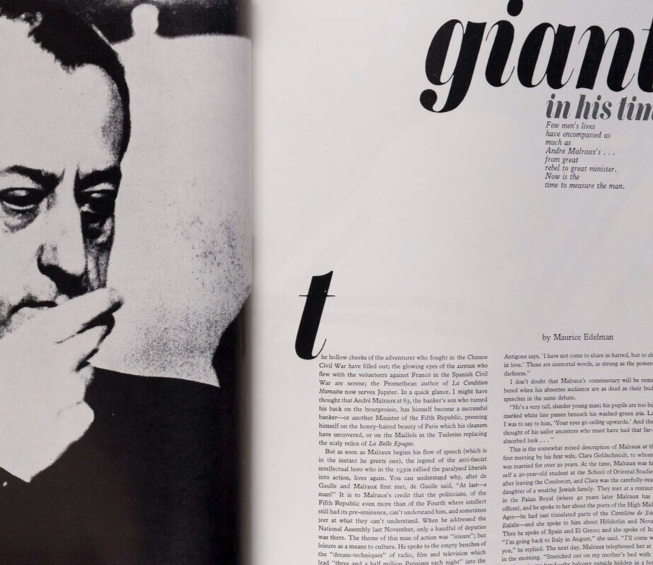 Veruschka JEAN SHRIMPTON Andre Malraux UK HARPERS April 1964 Givenchy BALENCIAGA