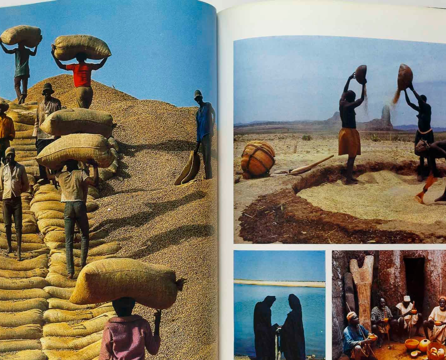 CHEYCO LEIDMANN Rebecca Blake FRANCOIS GILLET Arthur Ollman ZOOM magazine 1979