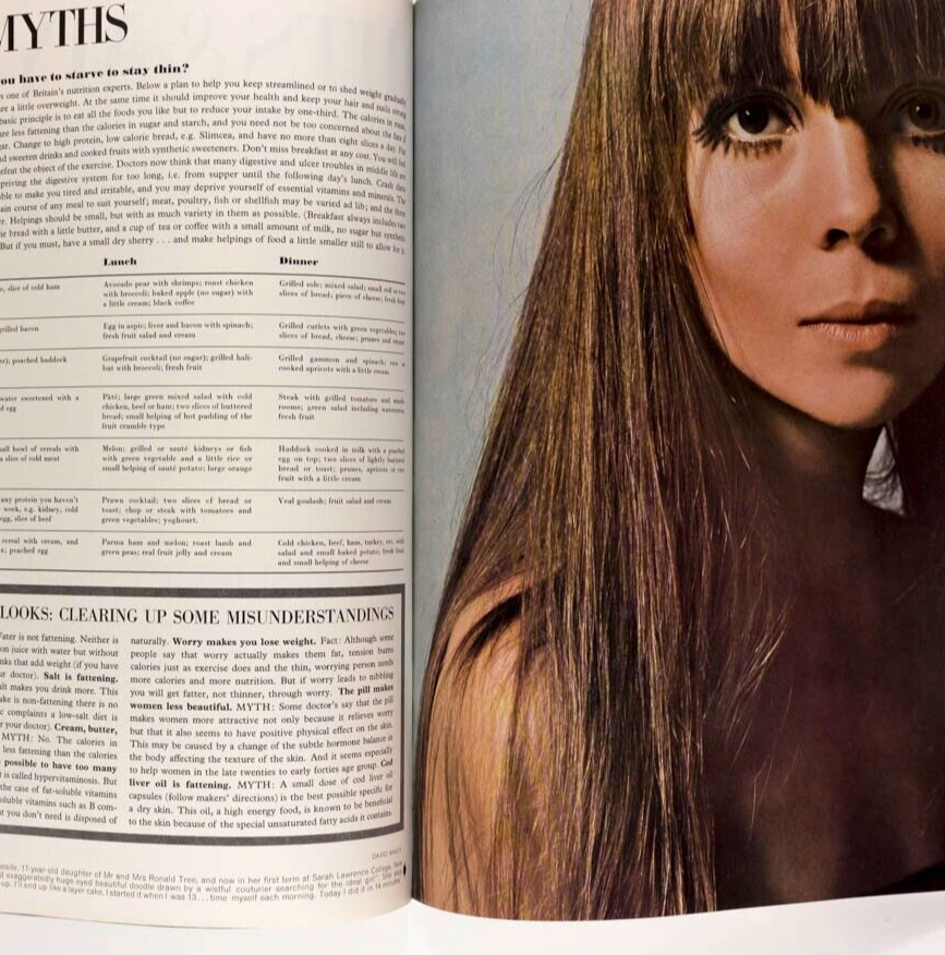 Van Rooy TWIGGY Veruschka YSL Norman Parkinson HELMUT NEWTON Penelope Tree VOGUE