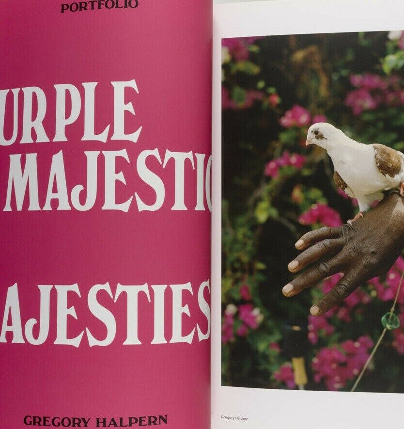 VIVIANE SASSEN Stephen Gill PETER WATKINS Mayumi Hosokura HOTSHOE photo magazine