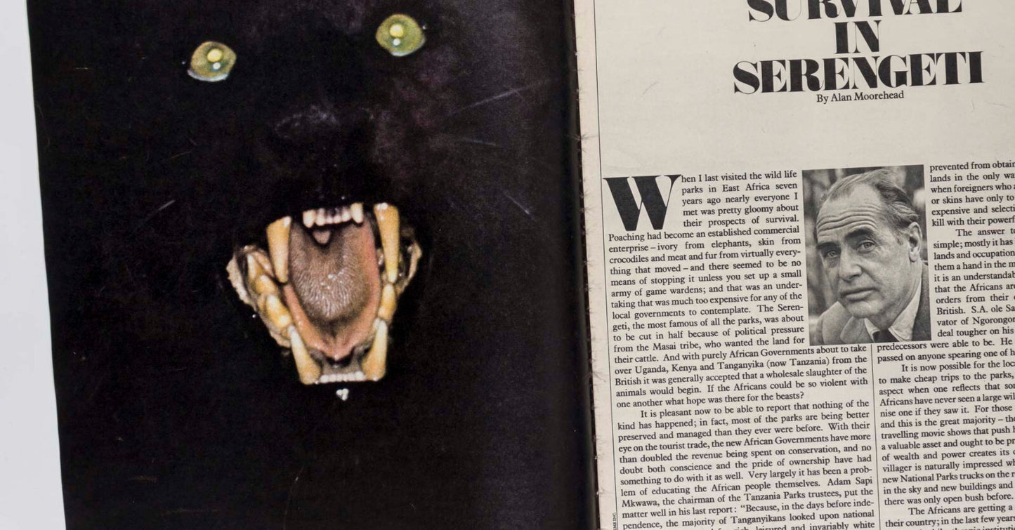 Naomi Sims PARIS Winston Churchill COLIN MacINNES Africa ~ Sunday Times Magazine