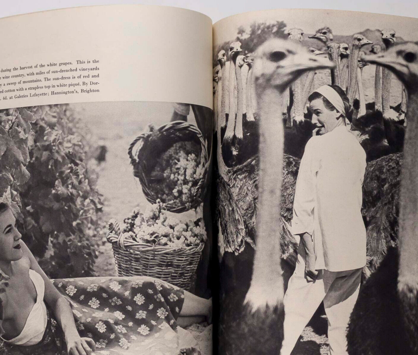 Jean Patchett NORMAN PARKINSON South Africa  VOGUE May 1951 Irving Penn TS ELIOT