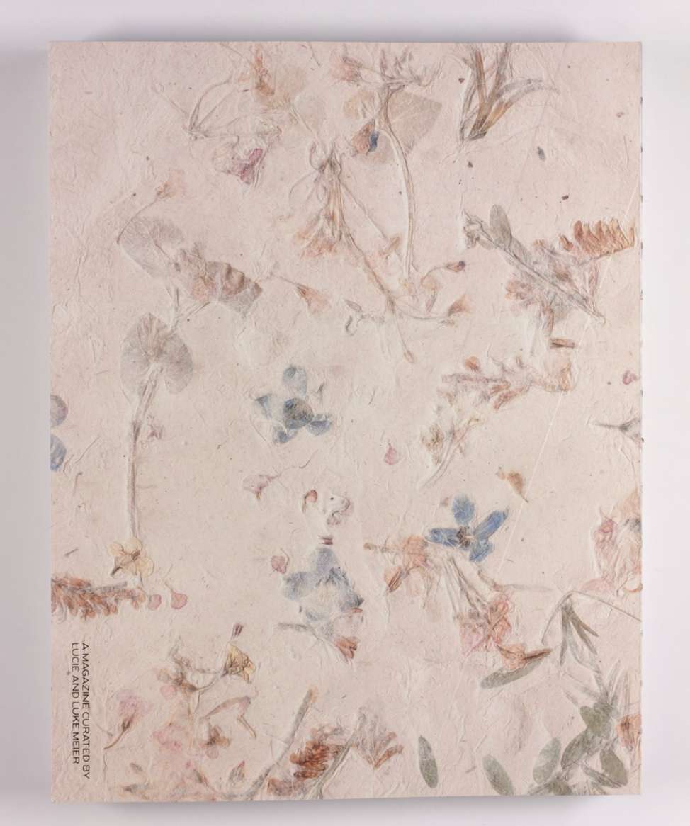 Jil Sander BRICE MARDEN Daido Moriyama JEFF WALL Mos Def A MAGAZINE CURATED BY