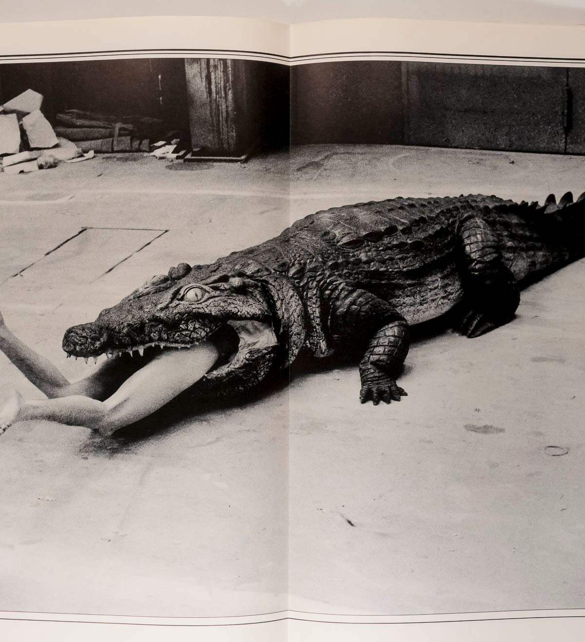 Ava Gardner HELMUT NEWTON Antonio Lopez DEBORAH TURBEVILLE Pina Bausch EGOISTE 8