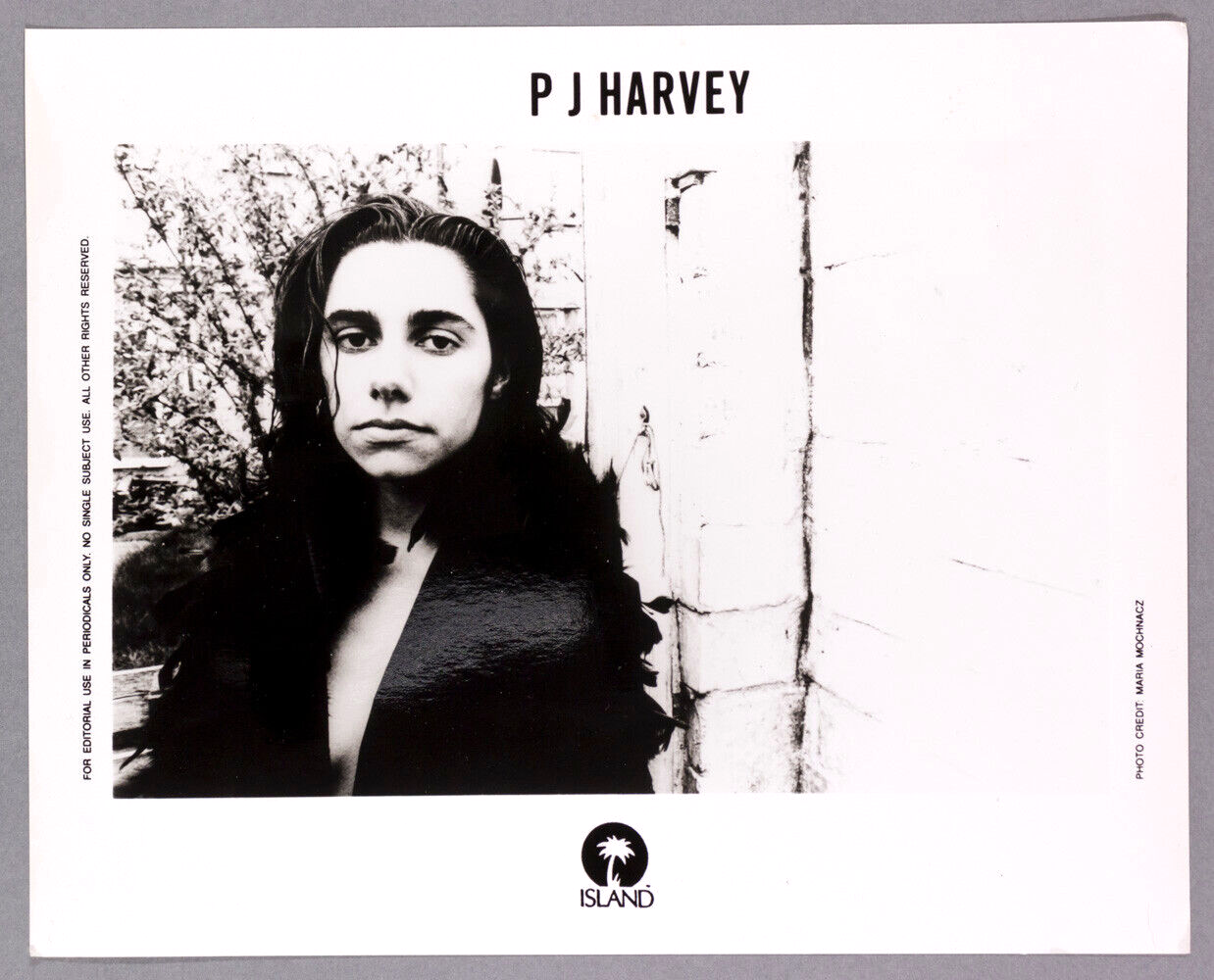 PJ HARVEY 10x8 photo MARIA MOCHNACZ Island Records PR PRESS PRINT promo 1995 vtg