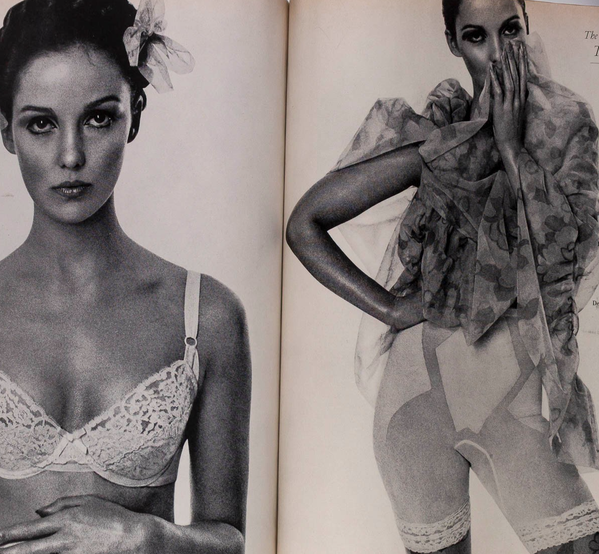 Donna Mitchell BOB RICHARDSON Antonio Lopez HARPER'S BAZAAR March 1965 Dubuffet