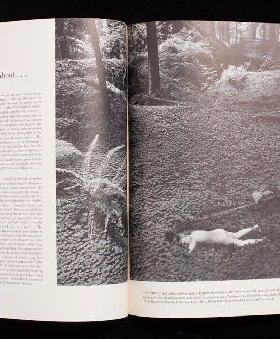 Norman Parkinson CHARLIE CHAPLIN Jean Cocteau LEE MILLER Red Rose Vogue 1956 vtg