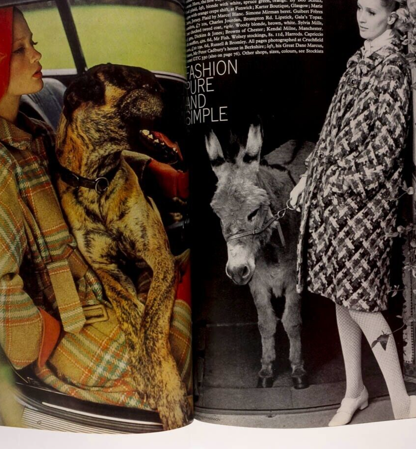 Van Rooy TWIGGY Veruschka YSL Norman Parkinson HELMUT NEWTON Penelope Tree VOGUE