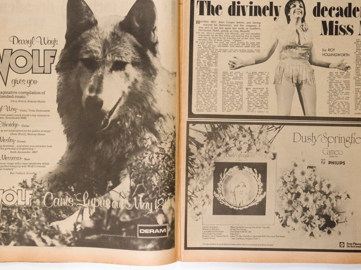 David Bowie MICK RONSON Alice Cooper MELODY MAKER May 1973 LIZA MINELLI Nazareth