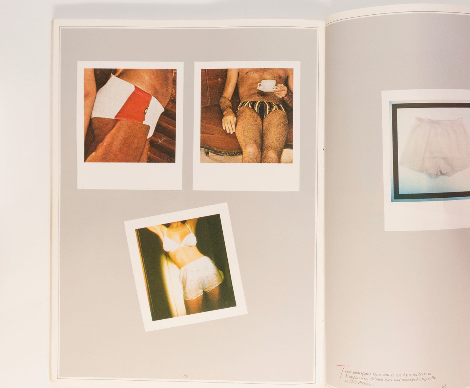 ROCK STARS IN THEIR UNDERPANTS Paula Yates AMANDA LEAR Bowie BEBE BUELL Zappa UK