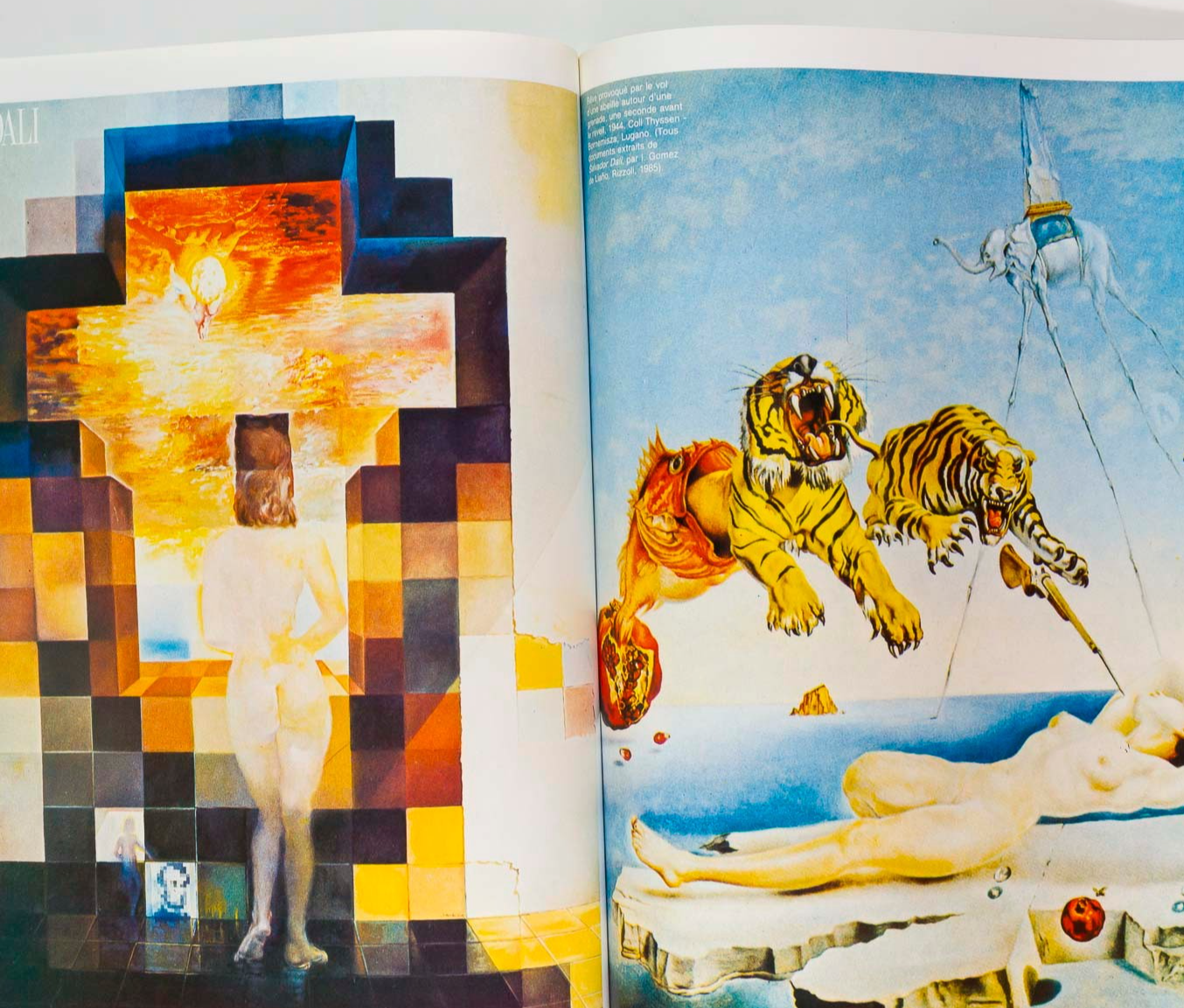 Carole Bouquet DALI Victoria Lockwood HARPERS BAZAAR FRANCE November 1986 Chanel