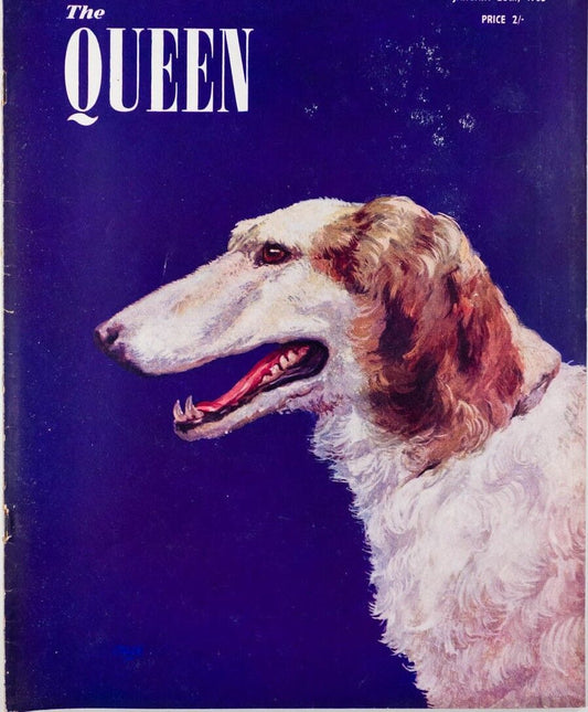 Richard Ogle CHRISTIAN DIOR Spa KENYA Irish Wolfhound dog HAT Queen magazine 50s